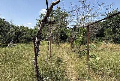 TEREN PENTRU CASA - 2