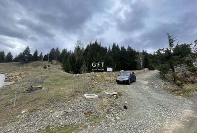 Teren de 3039 mp, în Colibița - 2