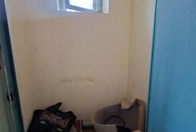 Casă cu 3 camere în Potârnichea - 8