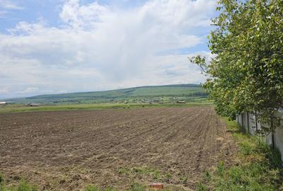 Spațiu comercial, în Mitocu Dragomirnei - 2