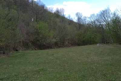 Teren Construcții extravilan de 1297 mp, în Isverna - 5