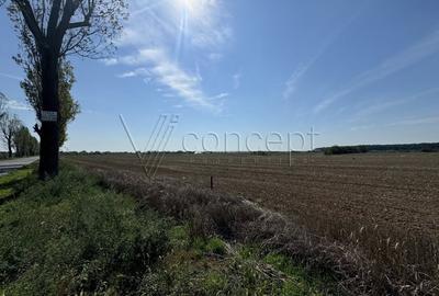 0% comision Teren intravilan – Ciolpani – Izvorani | 1.300 mp - 3