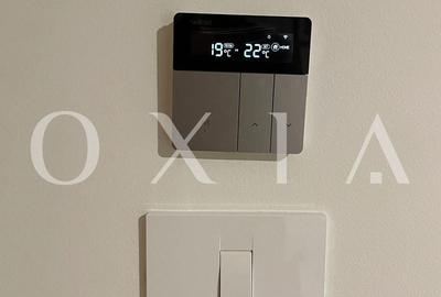 AX1146 Lipovei, Certificat Green Homes, Preluare Business - 12