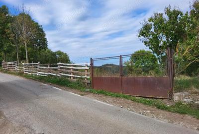 Casă cu 3 camere în Cerbăl - 6