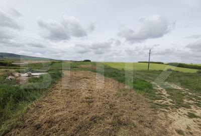 Teren intravilan in Cheriu foarte aproape de inelul metropol - 9