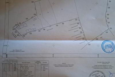 Casă cu 5 camere cu Teren 15000 Mp în Central