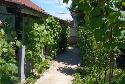 Casă cu 3 camere în Central - 8