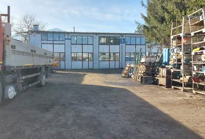 Hala industriala de inchiriat pe Calea Bucuresti folosinta multipla - 6