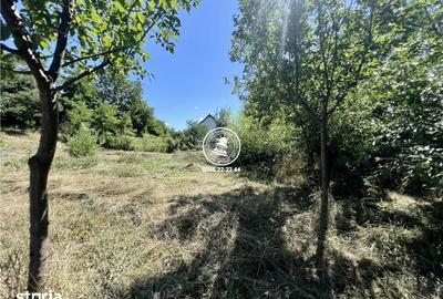 Casă cu 2 camere cu Teren 1940 Mp în Ciurea - 14