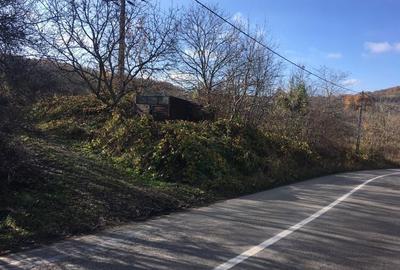 Teren de 5250 mp, în Pădureni (Chinteni) - 2