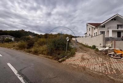 Teren de 5600 mp, în Centura - 2