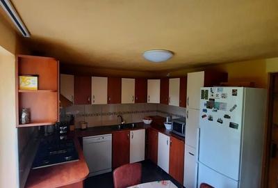 Casă cu 5 camere cu Teren 8142 Mp în Central - 4