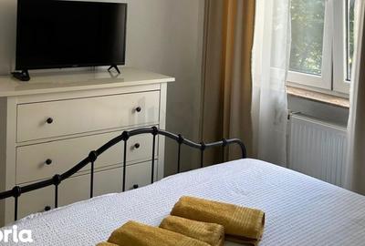 Apartament cu 2 camere semidecomandat, mobilat în Centrul Istoric - 12