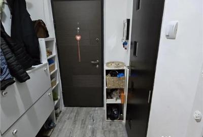 Apartament cu 3 camere decomandat în Scriitorilor