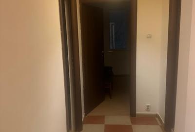 Apartament cu 3 camere decomandat, mobilat în Drumul Găzarului - 8