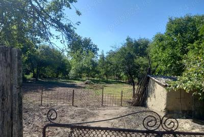 Vand casa Ramnicelu Braila 3000 mp - 5