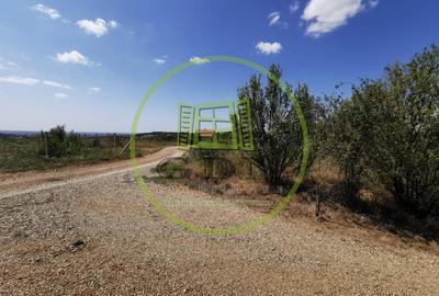 Teren Construcții intravilan de 3500 mp, în Săldăbagiu de Munte - 1