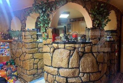 Casa individuala cu 5 camere si teren de 1231 mp in Suceagu! - 13