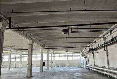 Spatiu Industrial - 3000 mp - Productie - Depozitare - Distributie - 9