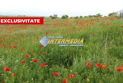 Teren Construcții intravilan de 976 mp, în Sud-Est - 1