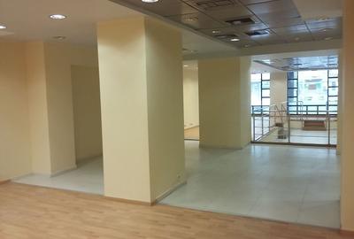 Spațiu comercial, de 445 mp, în Armeneasca - 3