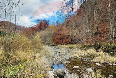 Teren 4,877mp Mara / Strada Principala - 7