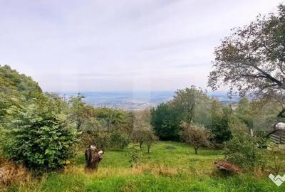 Teren de 1710 mp, în Feleacu - 1