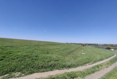 Teren agricol extravilan de 40000 mp, în Central - 4