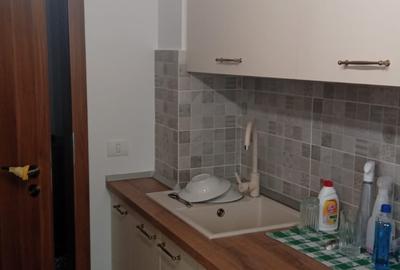 Apartament cu 2 camere decomandat, mobilat în City Park Mall - 5