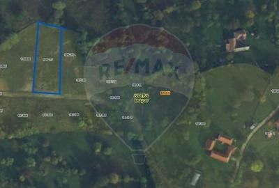 Teren Construcții intravilan de 1900 mp, în Sohodol - 4