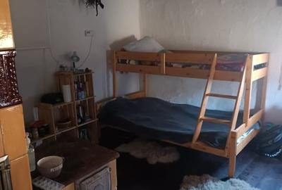 Proprietar, casa de vacanta de vanzare - 4