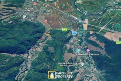 Teren de 4961 mp, în Vărădia de Mureș - 9