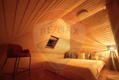 Casa de vacanta la munte de vanzare - 13