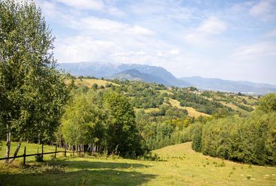 Investitie turistica unica - Bran Sohodol 10131mp-pe traseul Via Transilvanica - 10
