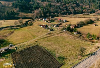 FILM! Teren cu potential, 6.700 mp, langa drumul principal, - 8