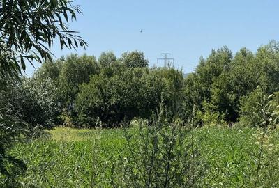 Teren de 2000 mp, în Hălchiu - 6