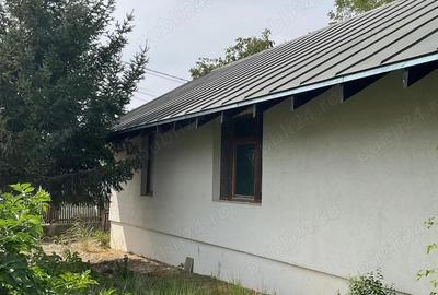 Casa 190mp cu teren 4.000mp, Carpenisu, jud Giurgiu - 2