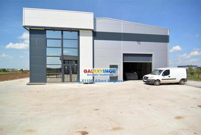 Hala 590 mp Chitila Rudeni- centura - 12