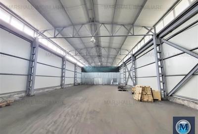 Spatiu industrial de vanzare, zona Mihai Bravu, 784 mp #16410 - 2