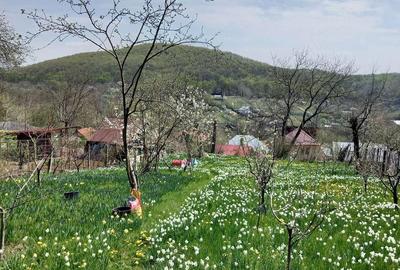 Casă cu 6 camere în Valea Mare - 3