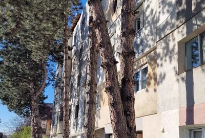 Apartament cu 3 camere decomandat în Central - 3