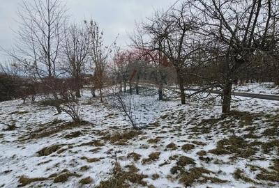 Teren de 10000 mp, în Rădășeni - 4