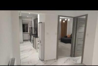 Apartament 1 camera 41mp, finisat modern, zona Iulius Mall - 3