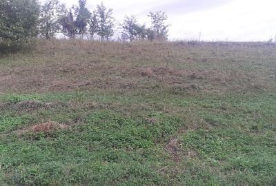 Teren de 555 mp, în Viforâta