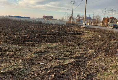 Teren Frumusani stradal Teren Frumusani stradal - 2