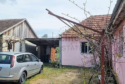 Casă cu 6 camere cu Teren 1439 Mp în Tinca - 5