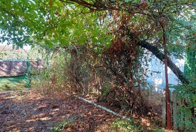 Casă cu 4 camere în Slava Rusă - 4