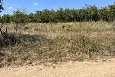 Teren intravilan 5744 mp Mosoaia-Prunilor - 3