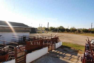 De vanzare ferma N.Balcescu - 8