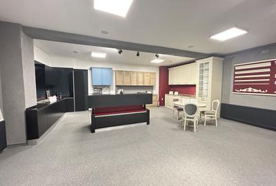 Imobil S+D+P+E+M - Centru - str. Siretului v-a-v de Regina Maria 678mp - 3